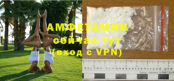 молекула духа Магадан