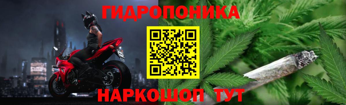 Конопля семена Тула